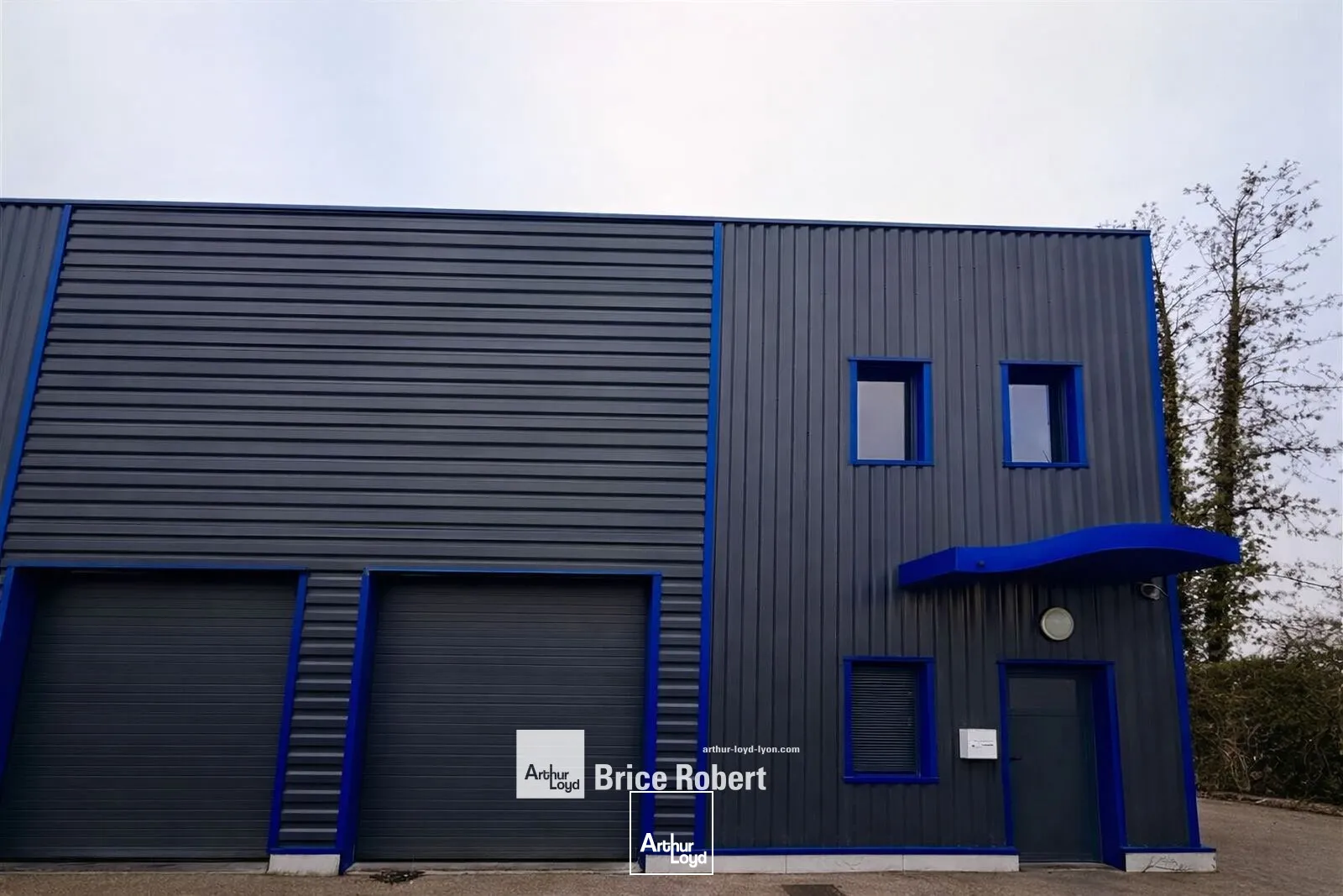 Locaux d'activité & Entrepôts - Location - MIRIBEL - 01700 - 151-151 - 7662262