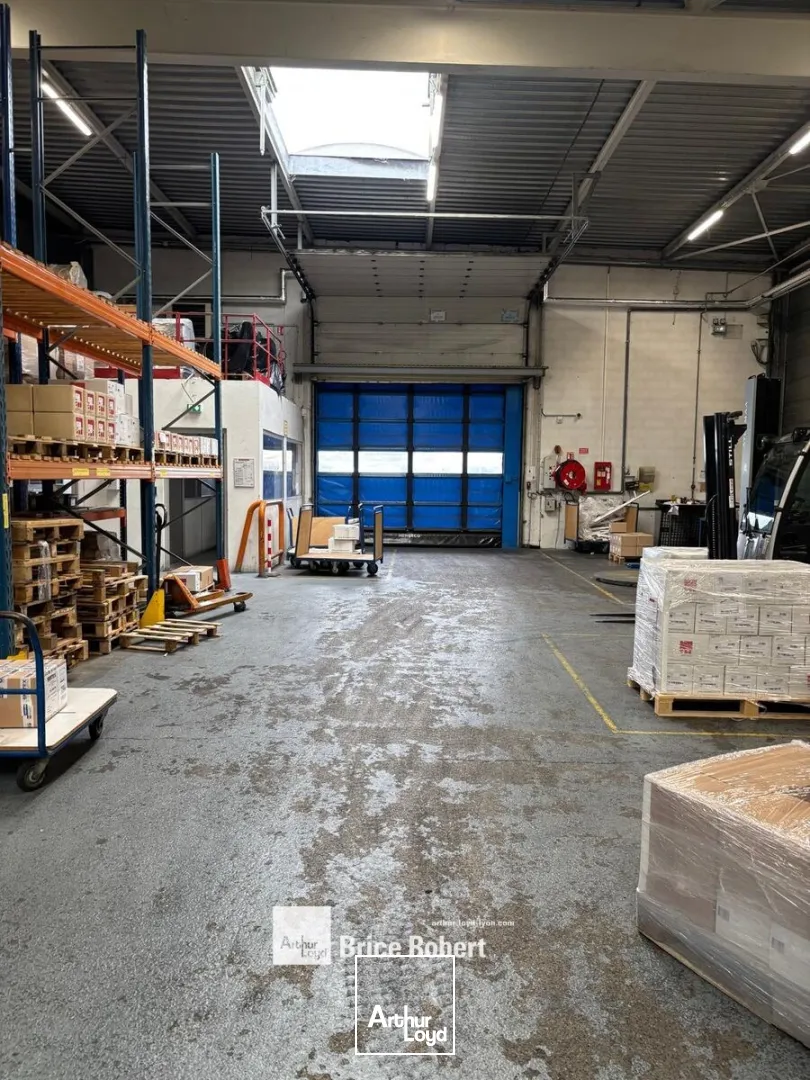 Locaux d'activité & Entrepôts - Location - VILLEURBANNE - 69100 - 3250-3250 - 7662381
