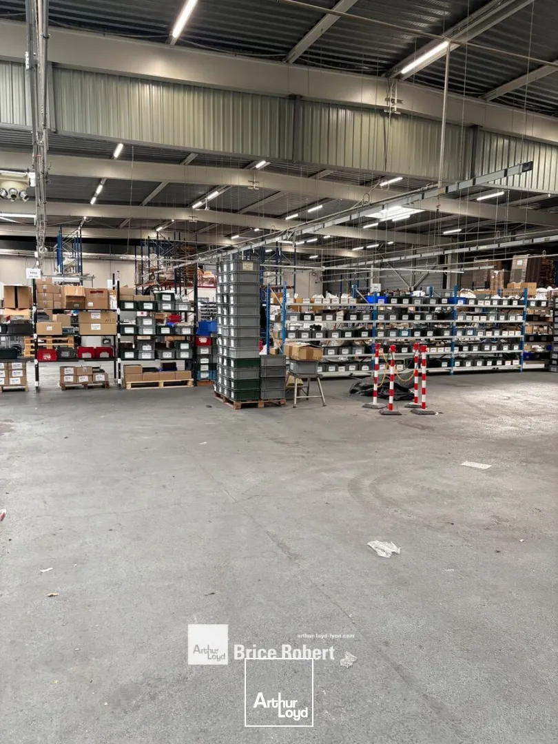 Locaux d'activité & Entrepôts - Location - VILLEURBANNE - 69100 - 3250-3250 - 7662385