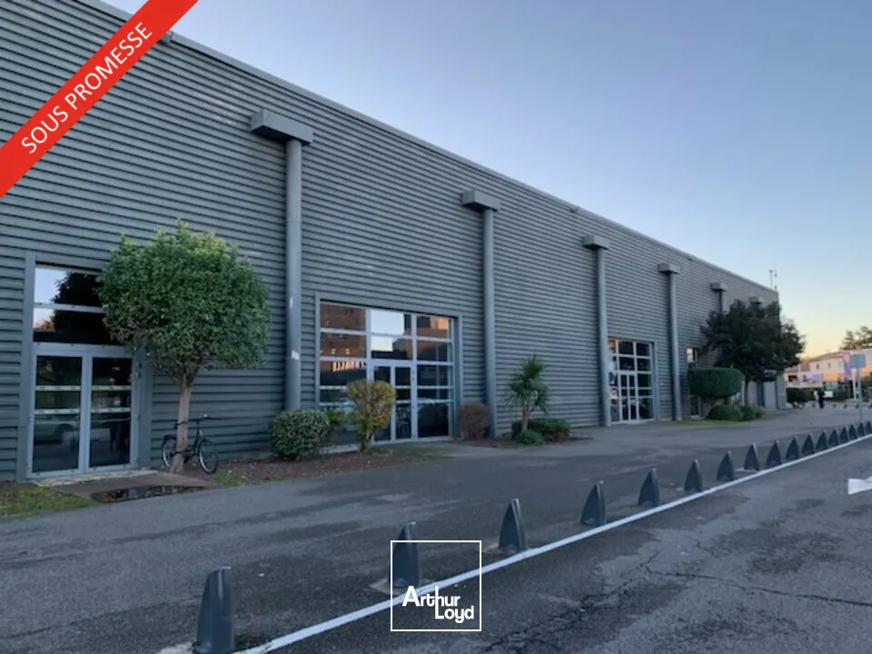 Locaux commerciaux - Location - AVIGNON - 84000 - 1181.66-1181.66 - 7662580