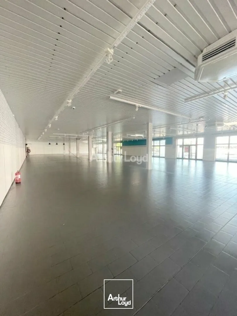 Locaux commerciaux - Location - NANCY - 54000 - 850-850 - 7662604