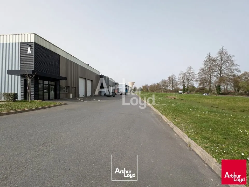 Locaux d'activité & Entrepôts - Location - LA MEZIERE - 35520 - 300-300 - 7662712