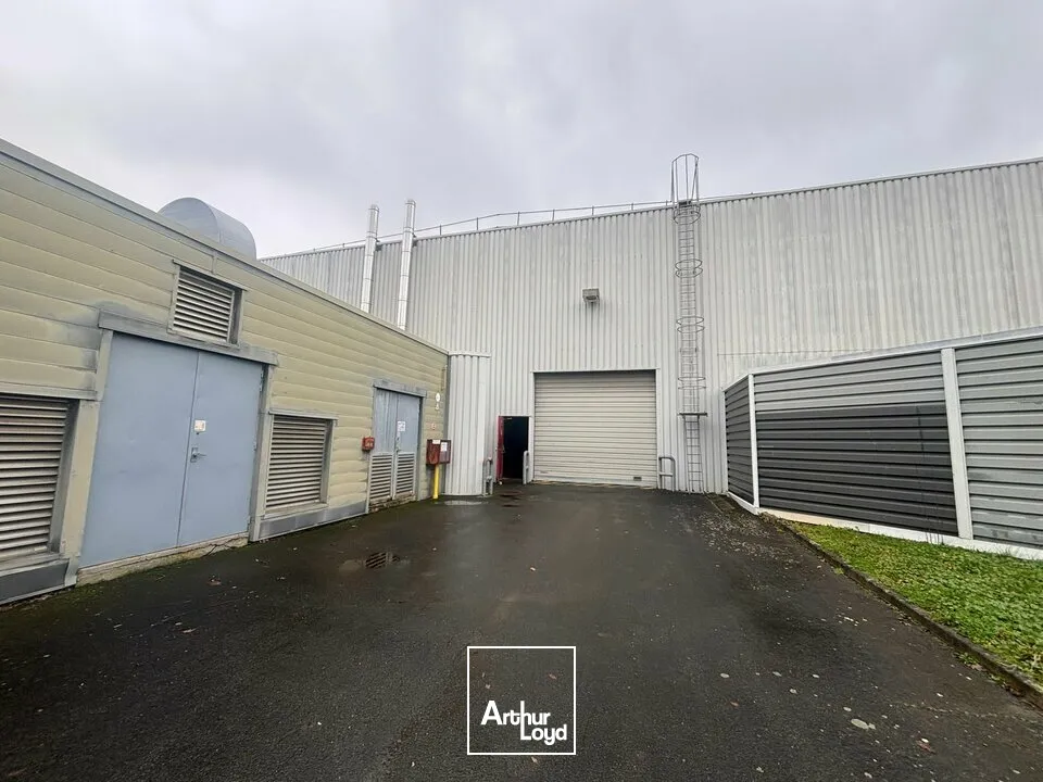 Locaux d'activité & Entrepôts - Vente - AIZENAY - 85190 - 23091-23091 - 7662739