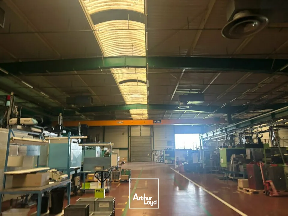 Locaux d'activité & Entrepôts - Vente - AIZENAY - 85190 - 23091-23091 - 7662744