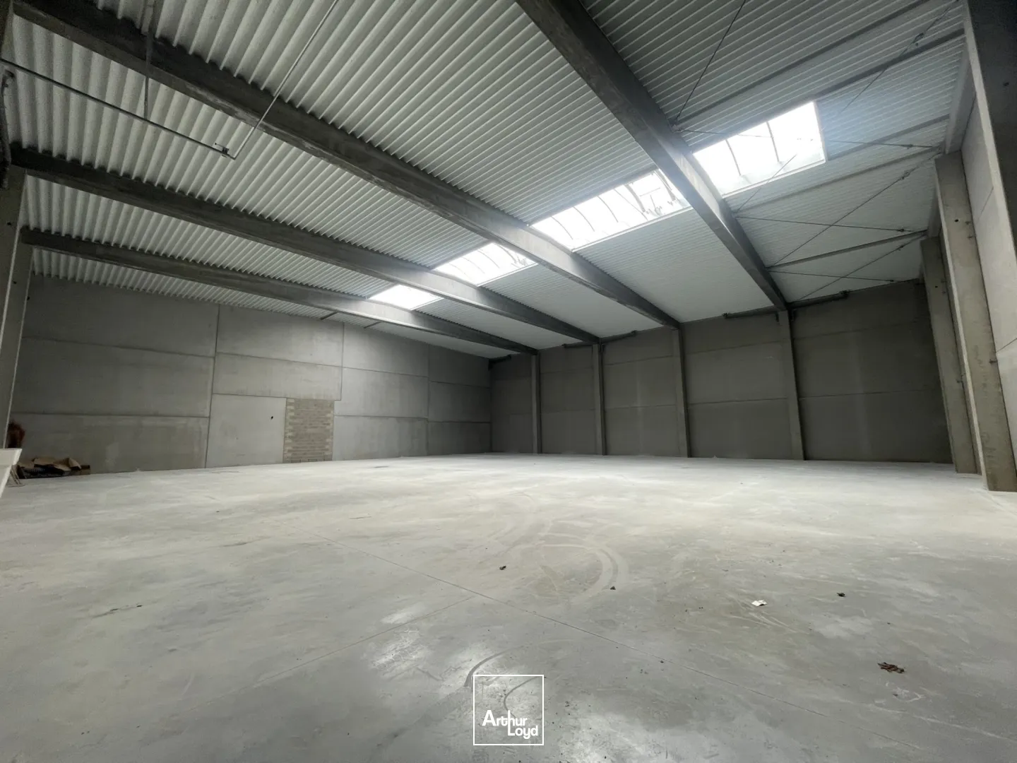 Locaux d'activité & Entrepôts - Location - SAINT ETIENNE DU ROUVRAY - 76800 - 1130-1130 - 7662966