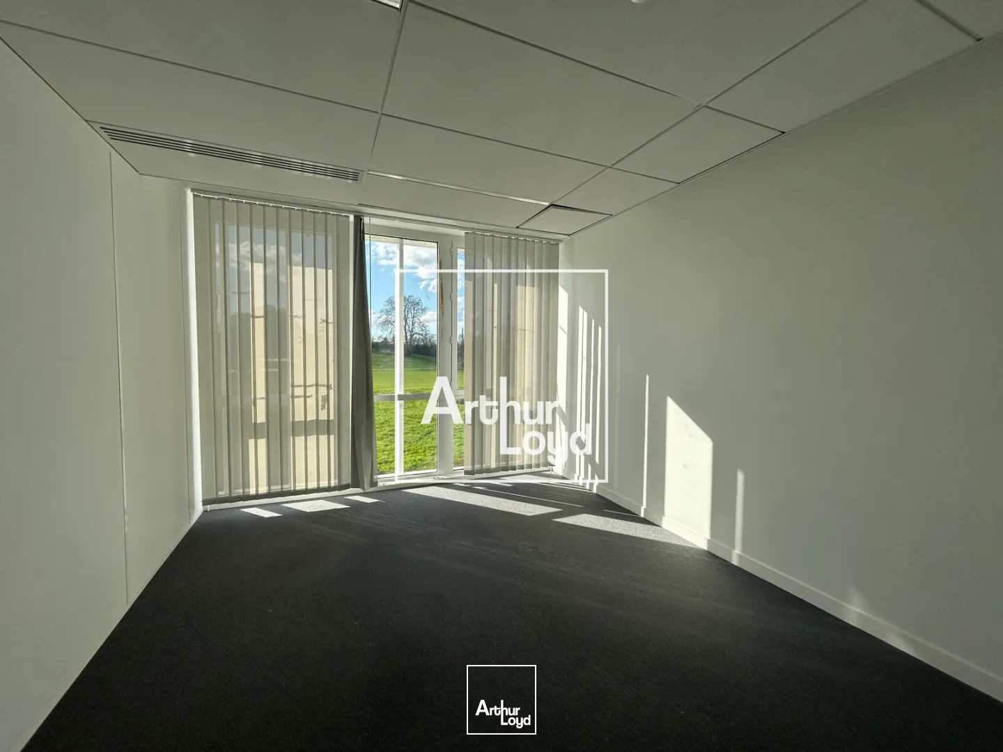 Bureaux - Location - TOULOUSE - 31300 - 165-165 - 7663413