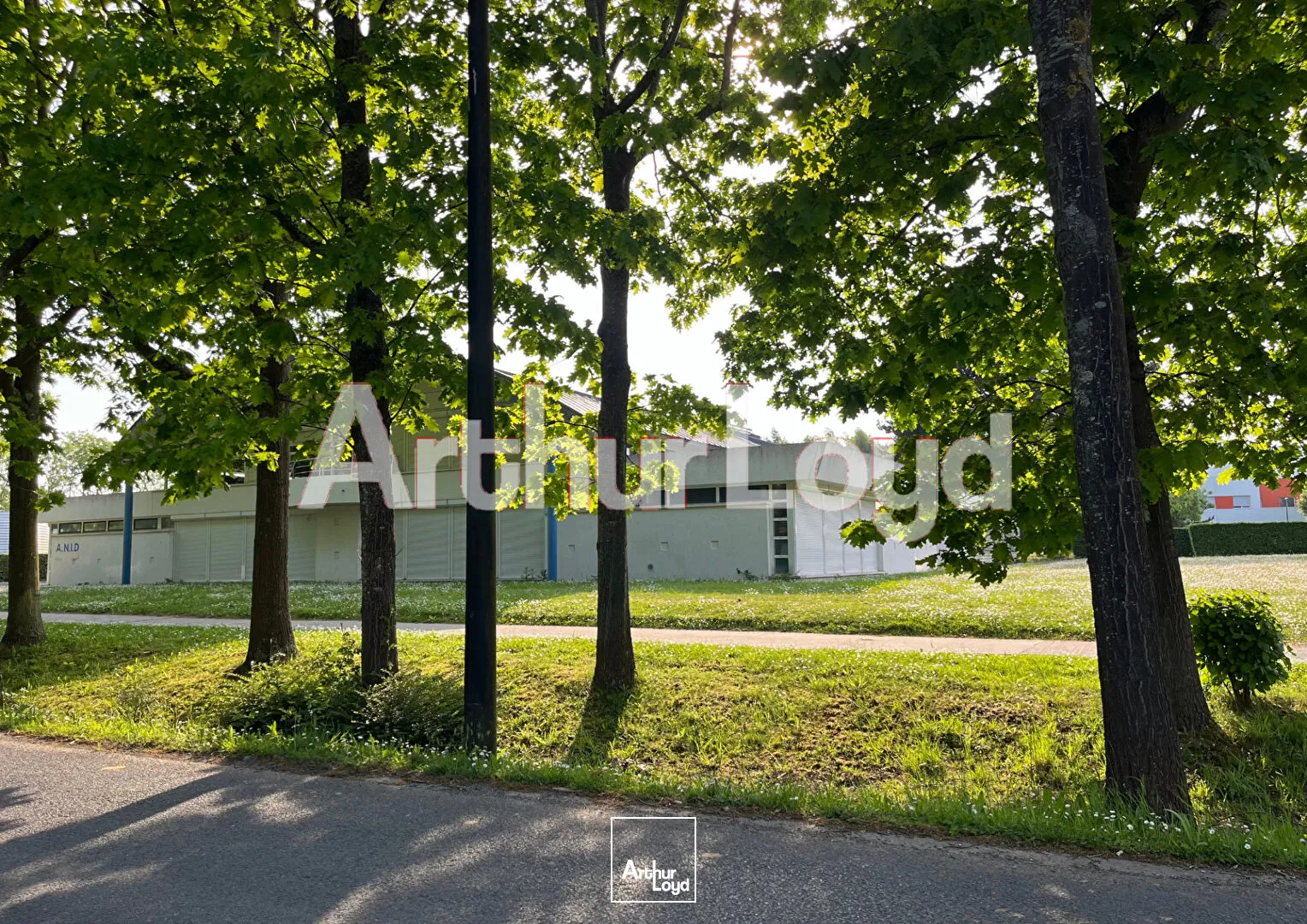 Bureaux - Location - HEROUVILLE SAINT CLAIR - 14200 - 1300-1300 - 7663526