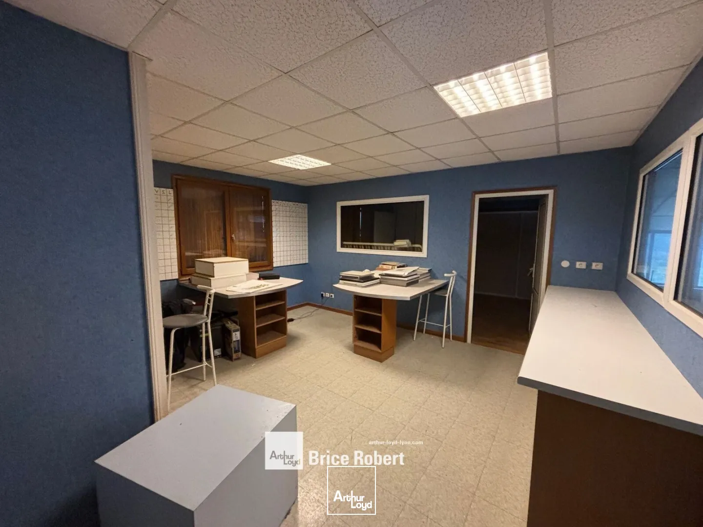 Locaux d'activité & Entrepôts - Location - LA BOISSE - 01120 - 550-550 - 7663664