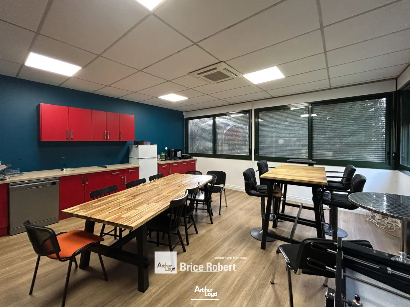 Locaux d'activité & Entrepôts - Location - CHAMPAGNE AU MONT D'OR - 69410 - 1735-1735 - 7663706