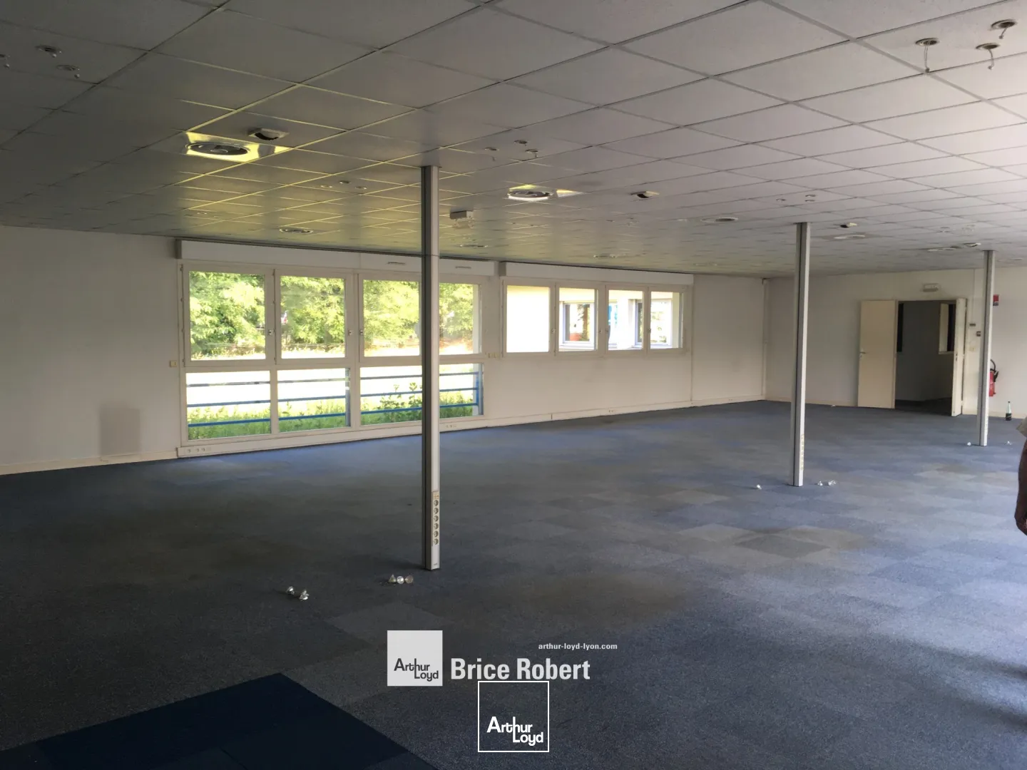 Locaux d'activité & Entrepôts - Location - DARDILLY - 69570 - 742-742 - 7663723