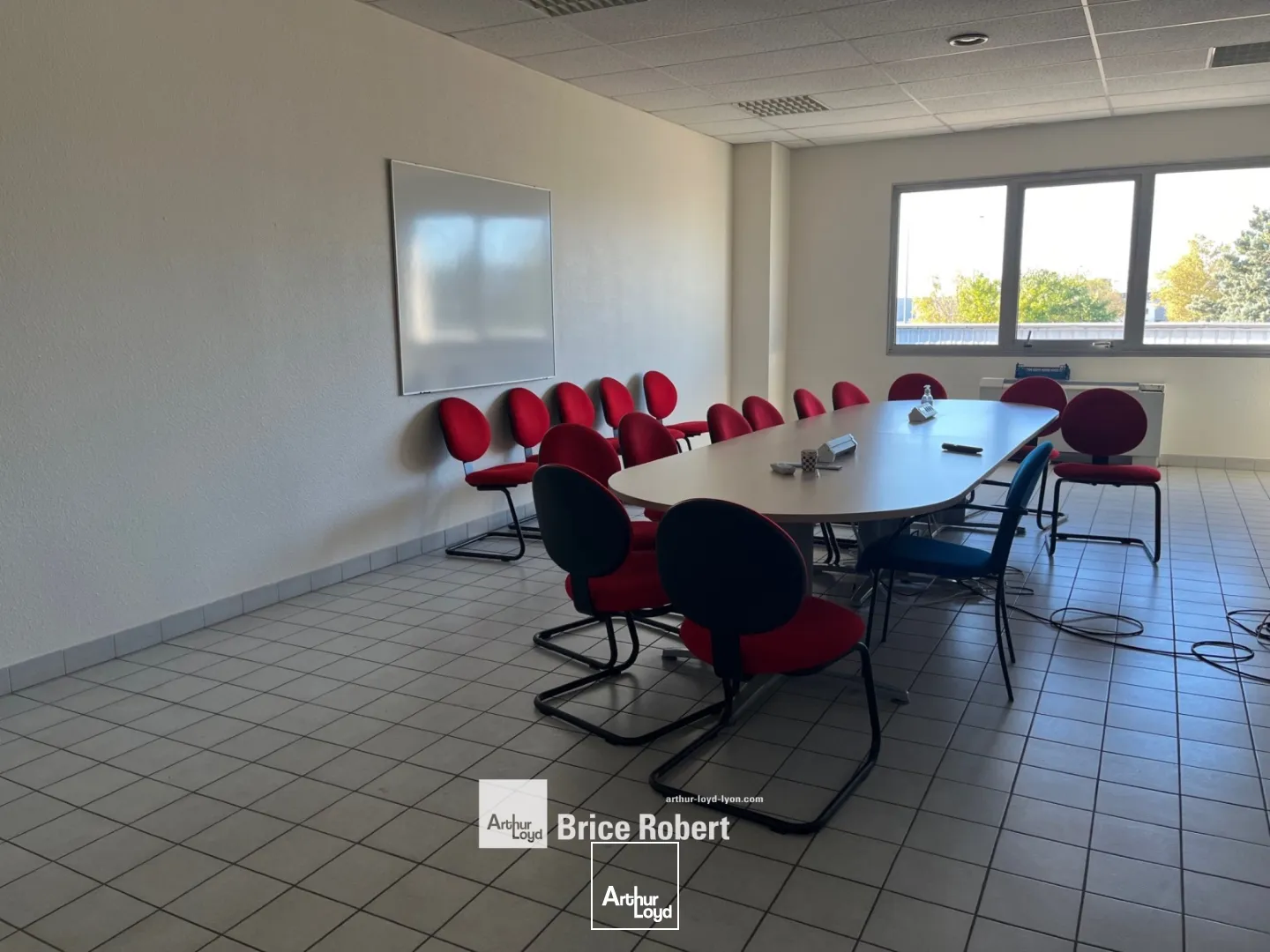 Locaux d'activité & Entrepôts - Location - GENAS - 69740 - 3948.91-3948.91 - 7663731