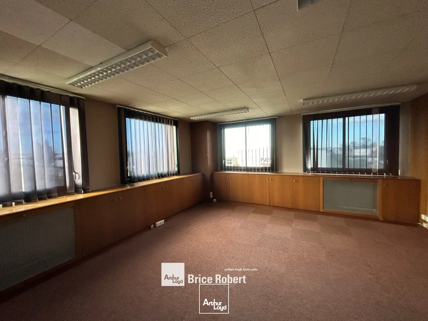 Locaux d'activité & Entrepôts - Location - CHASSIEU - 69680 - 750-2329 - 7663741