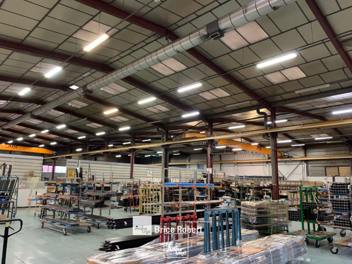 Locaux d'activité & Entrepôts - Location - VAULX EN VELIN - 69120 - 2749-2749 - 7663798