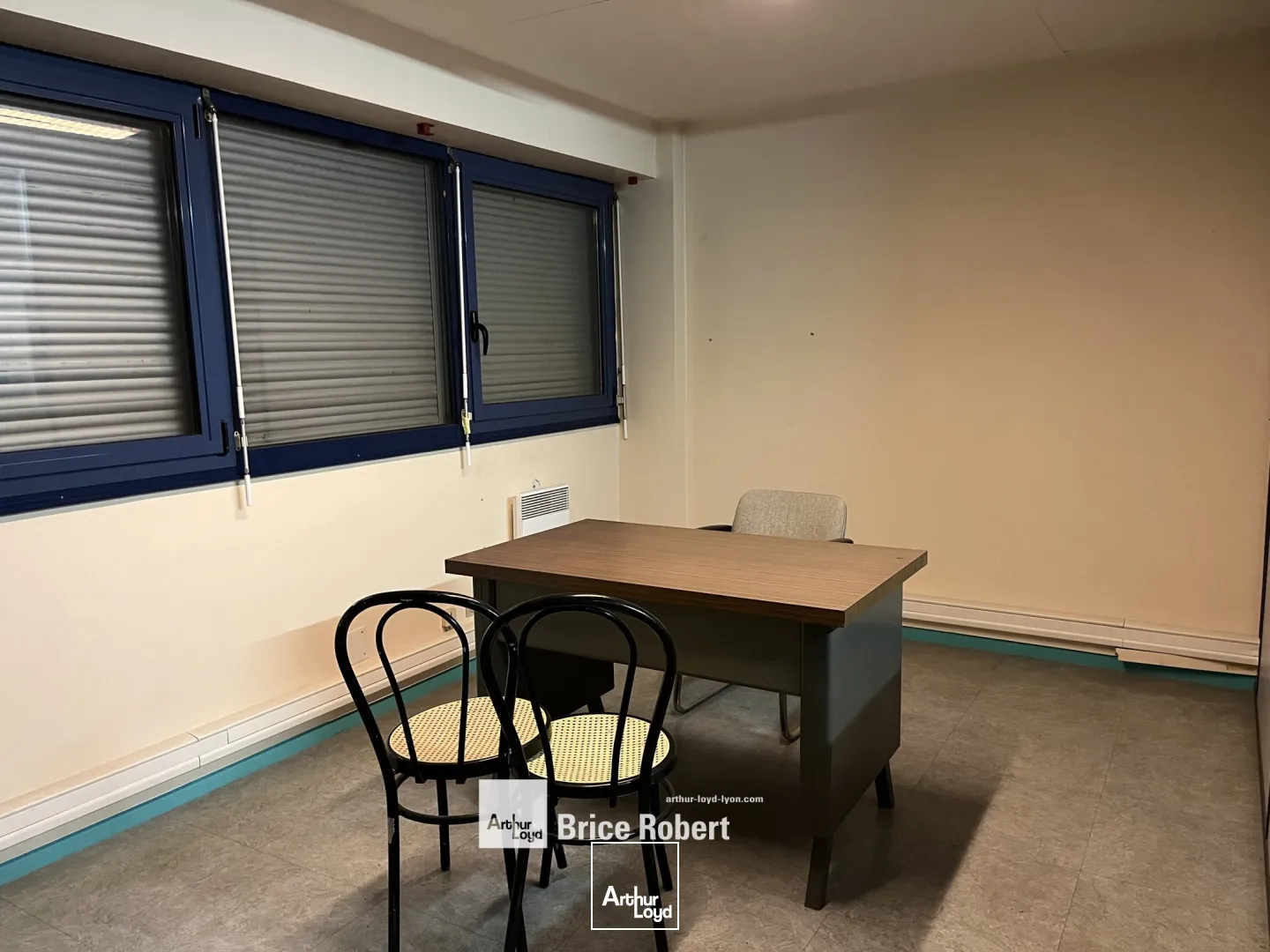 Locaux d'activité & Entrepôts - Location - LYON - 69003 - 193-193 - 7663810