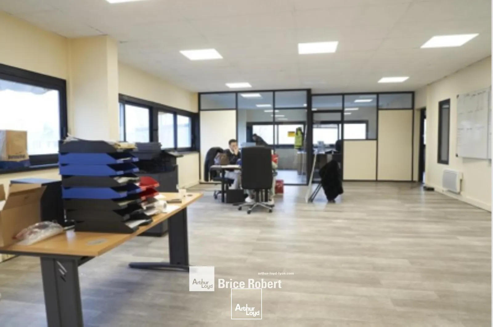 Locaux d'activité & Entrepôts - Location - CHASSIEU - 69680 - 1150-1150 - 7663837