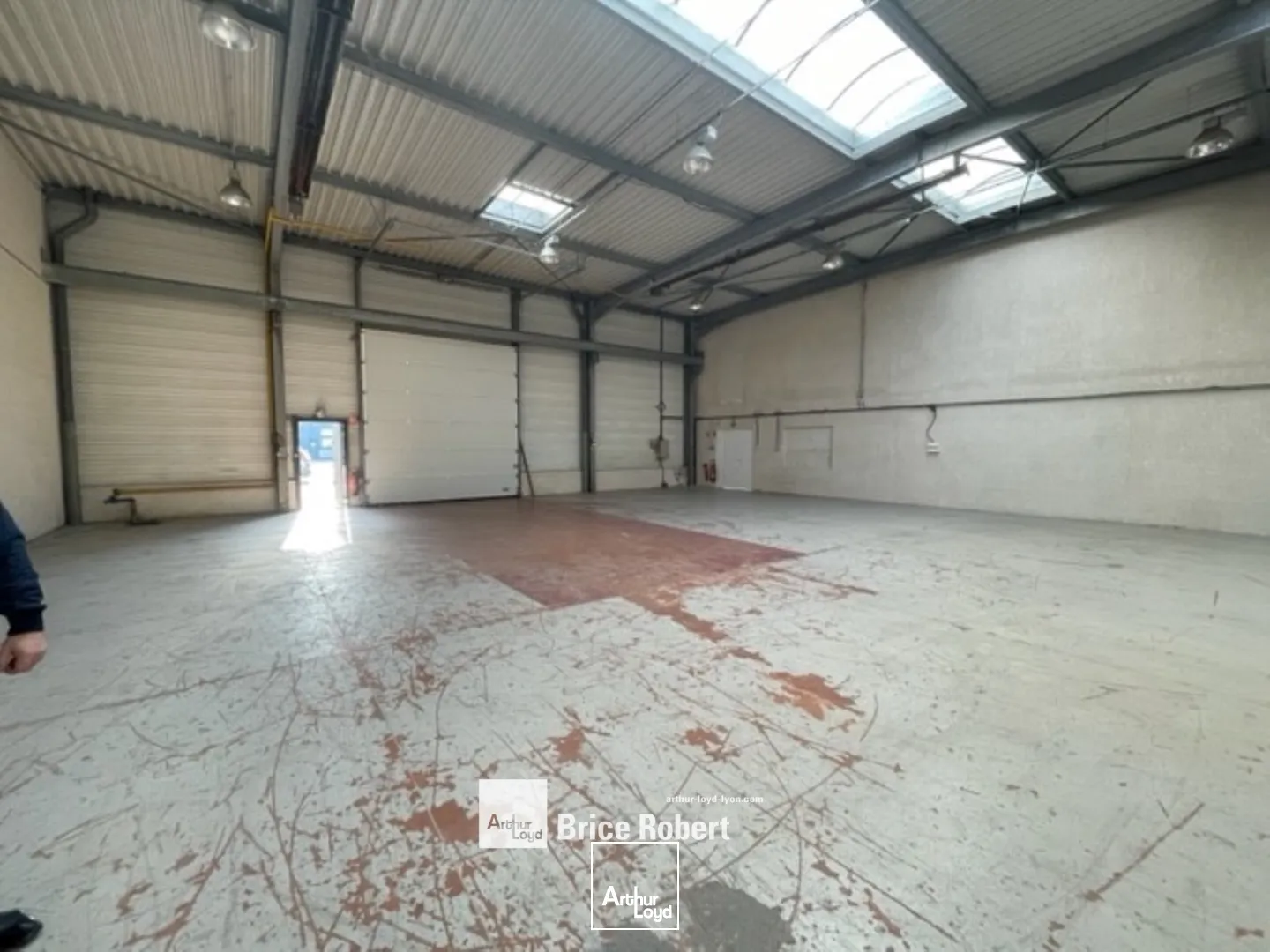 Locaux d'activité & Entrepôts - Location - BRON - 69500 - 230-490 - 7663845