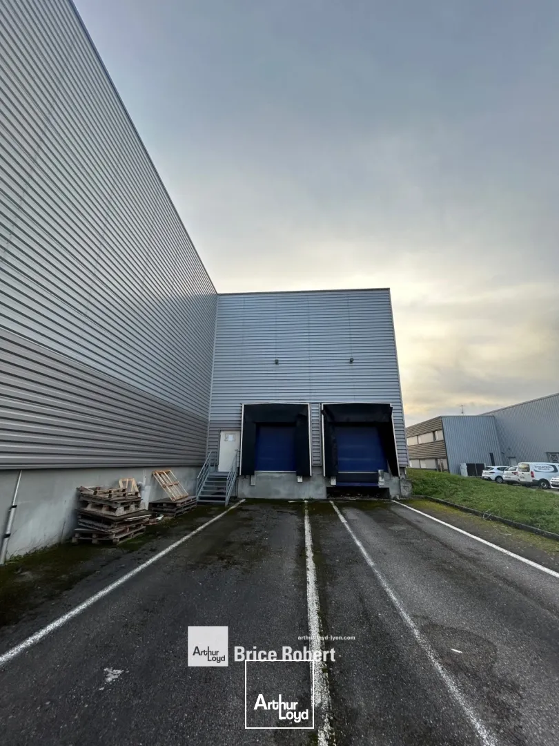Locaux d'activité & Entrepôts - Location - COLOMBIER SAUGNIEU - 69124 - 1500-1500 - 7664010