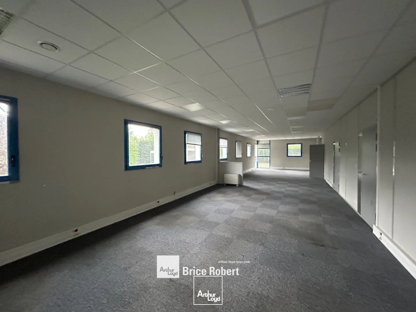 Locaux d'activité & Entrepôts - Vente - CIVRIEUX D'AZERGUES - 69380 - 4266-4266 - 7664052