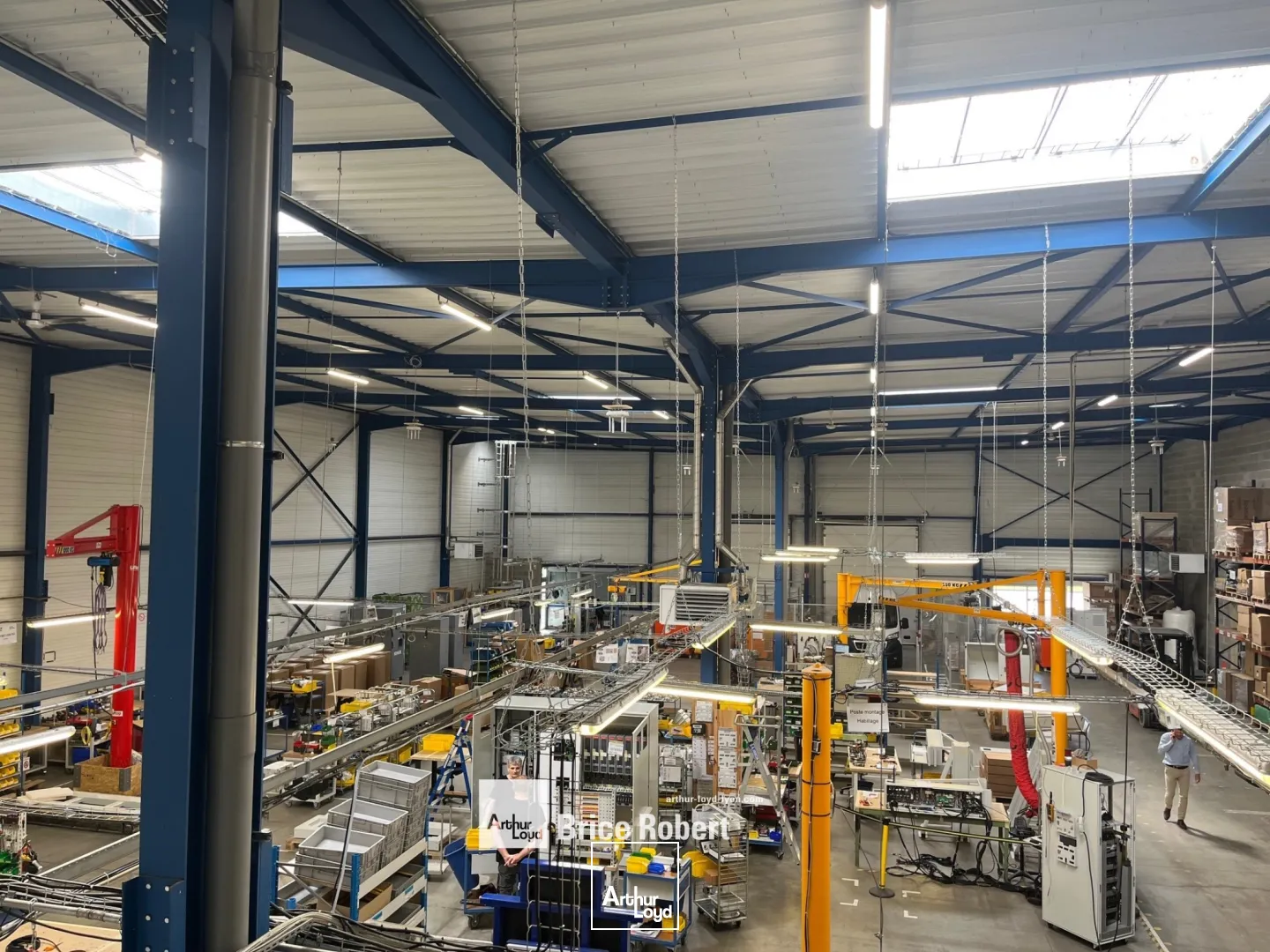 Locaux d'activité & Entrepôts - Location - DAGNEUX - 01120 - 2244-2244 - 7664098