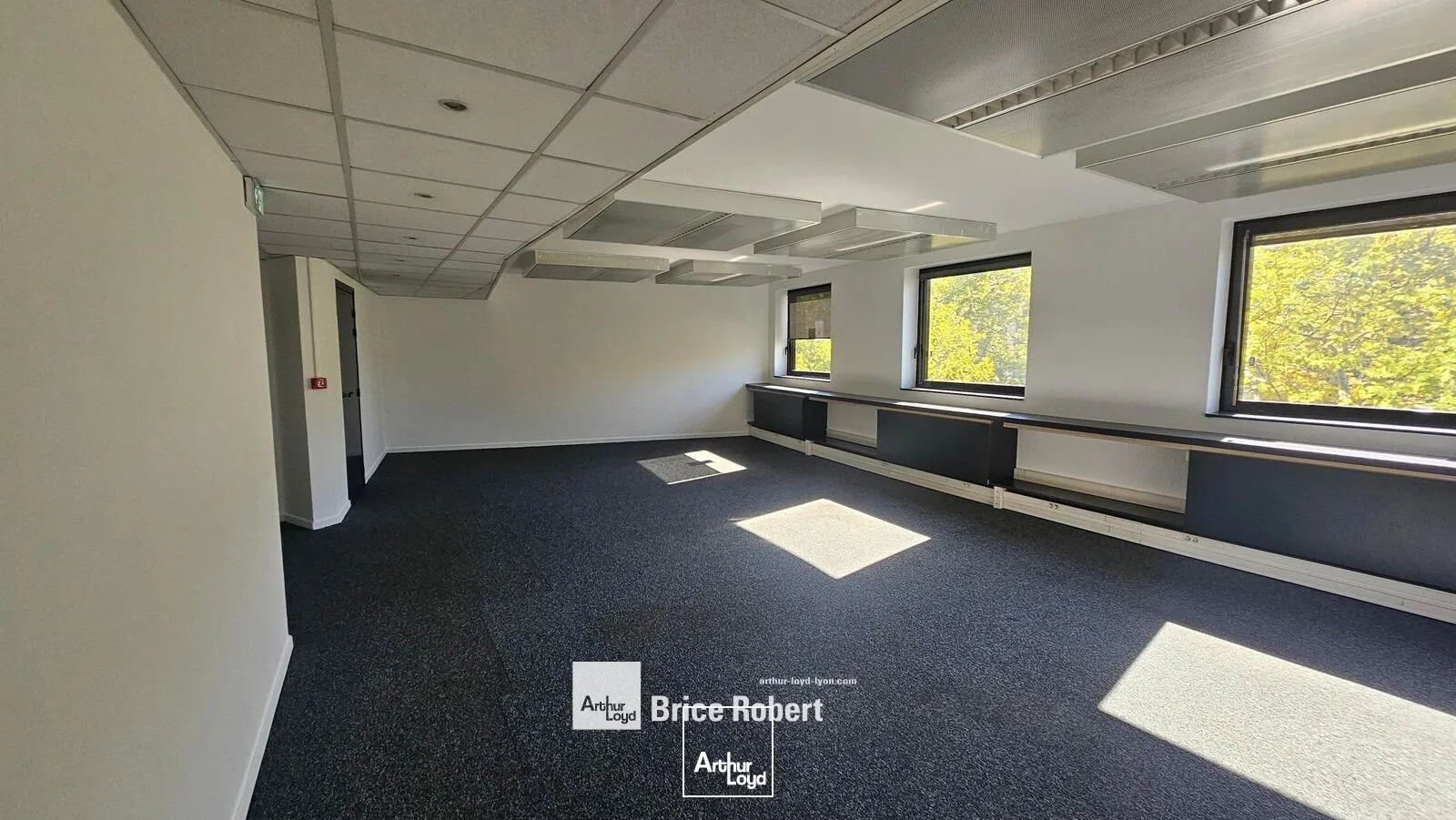 Bureaux - Location - LYON - 69003 - 107.25-2291.21 - 7664126