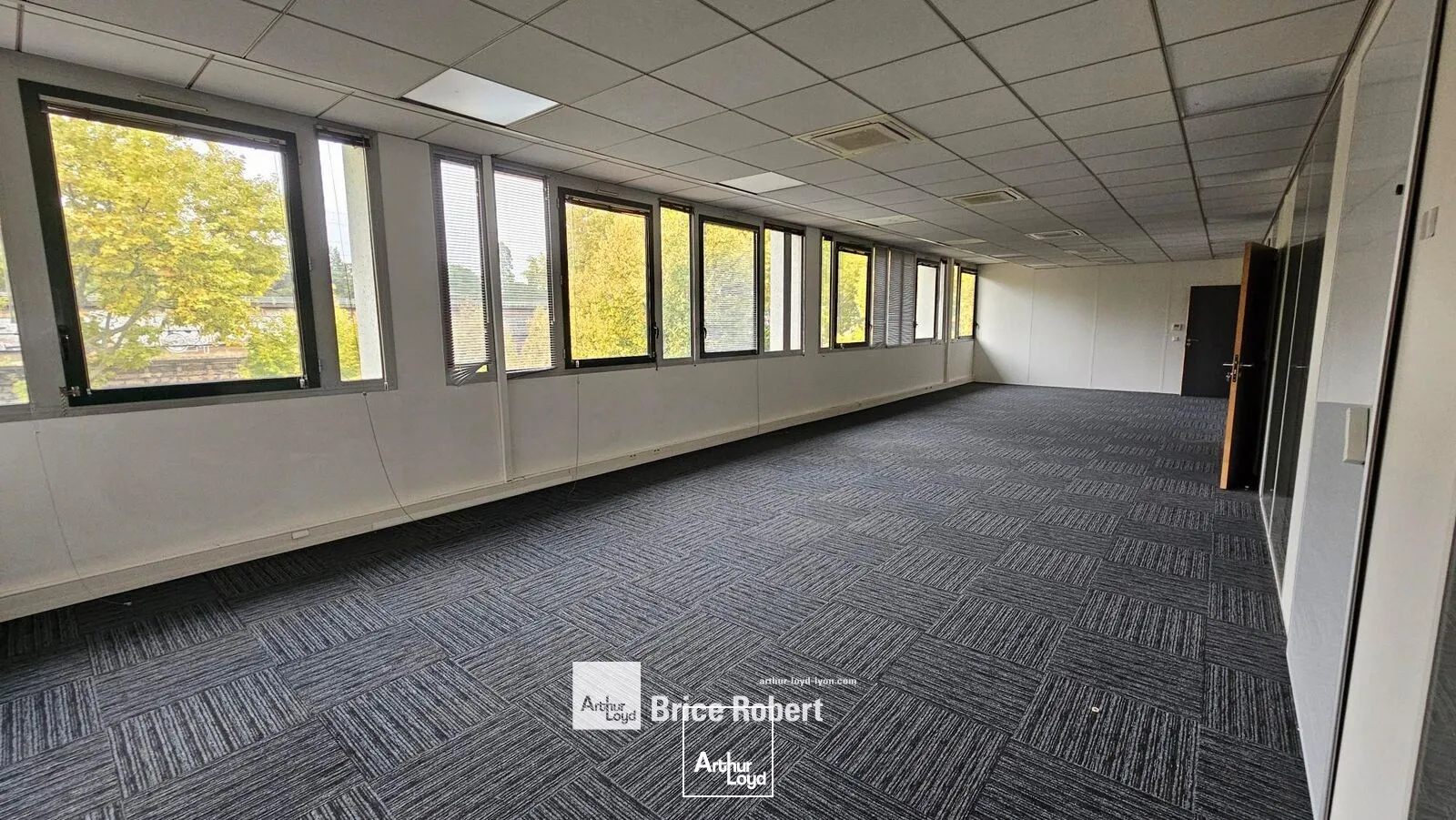 Bureaux - Location - VILLEURBANNE - 69100 - 993-993 - 7664131