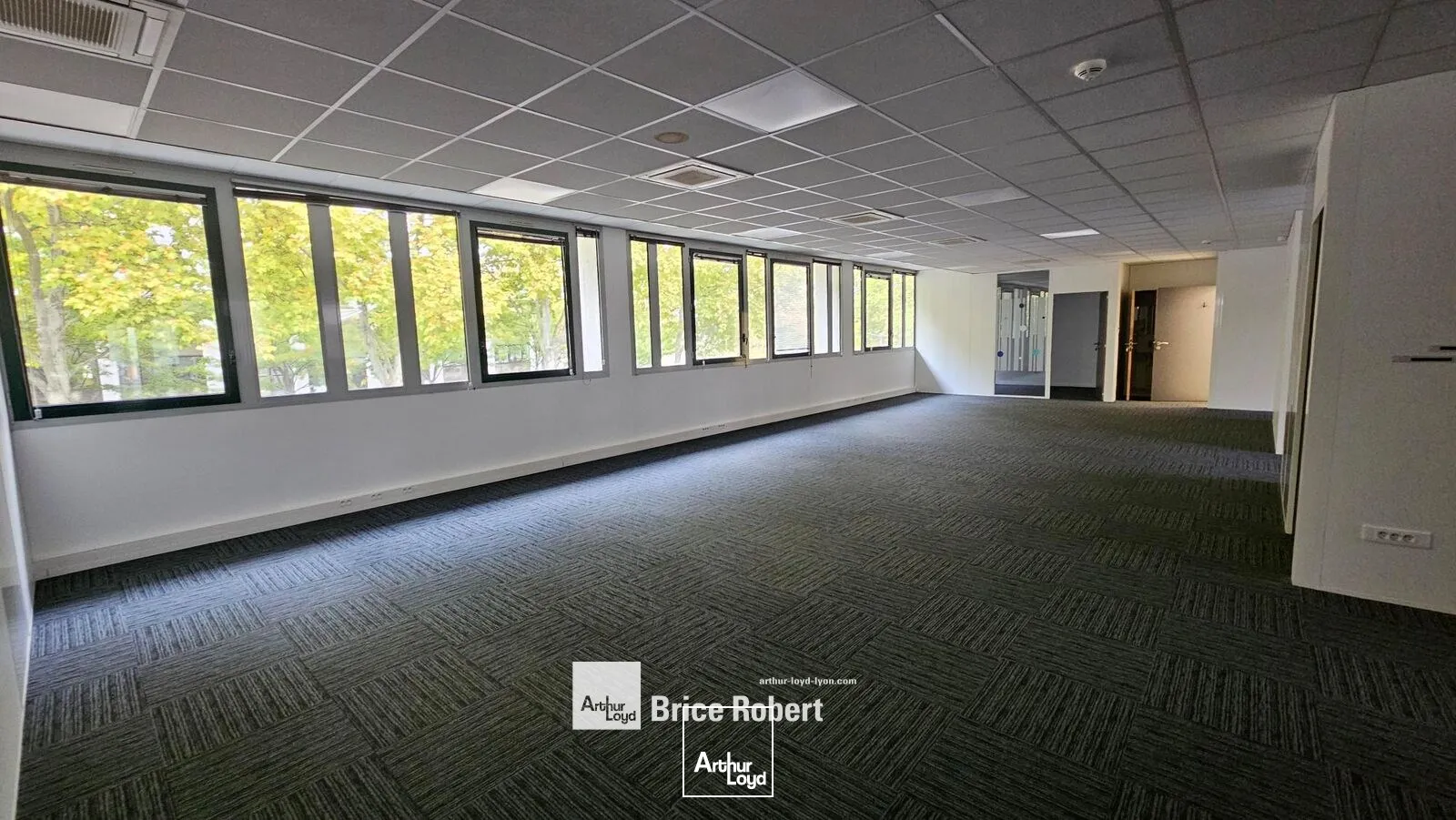 Bureaux - Location - VILLEURBANNE - 69100 - 993-993 - 7664130