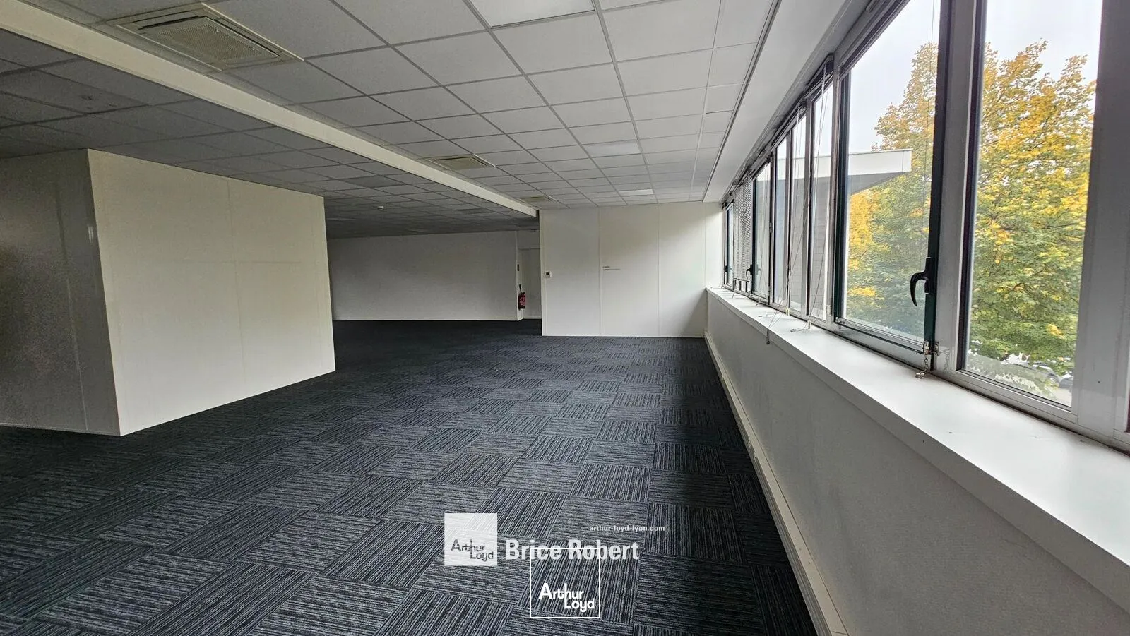 Bureaux - Location - VILLEURBANNE - 69100 - 993-993 - 7664138