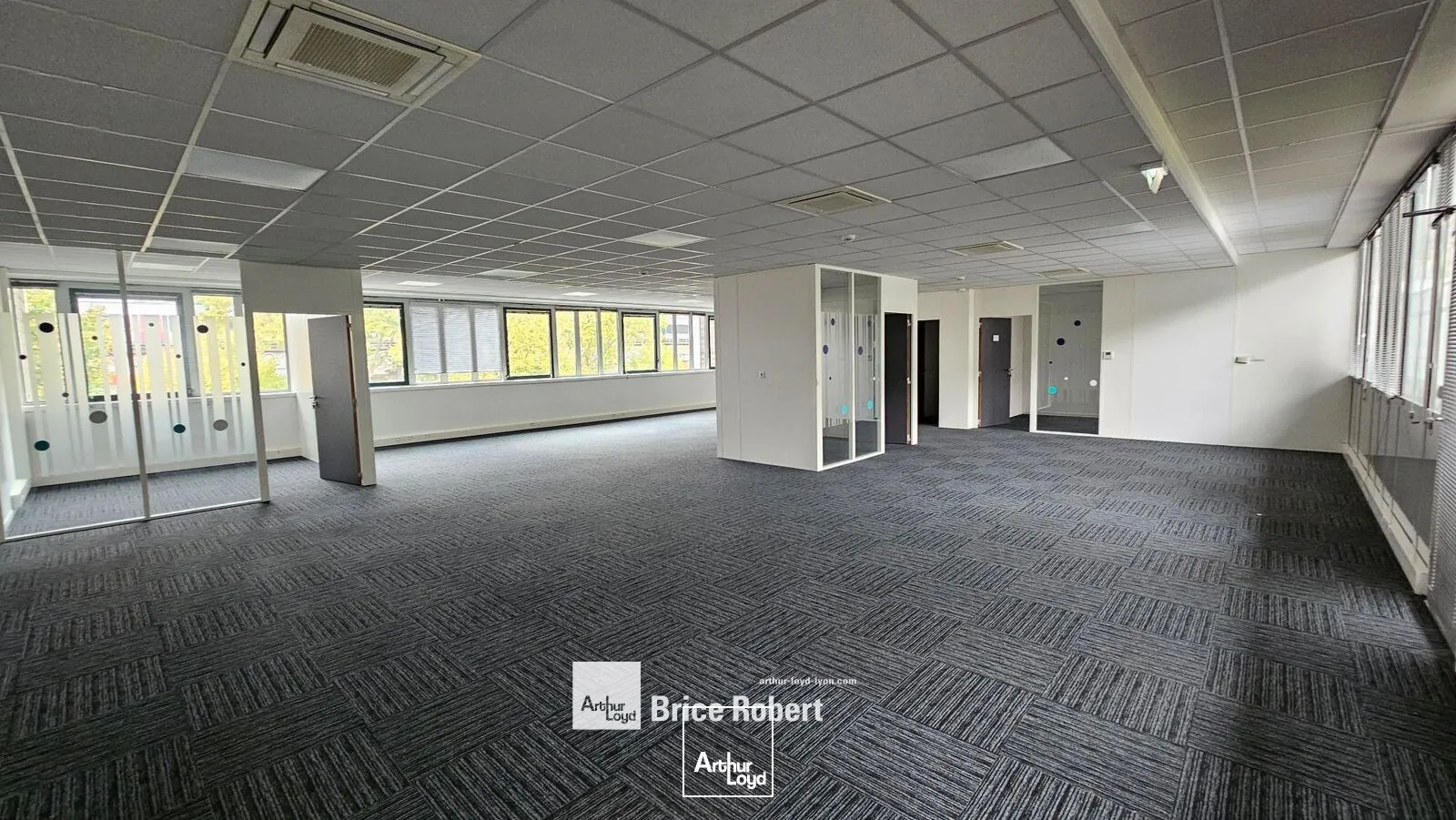 Bureaux - Location - VILLEURBANNE - 69100 - 993-993 - 7664139