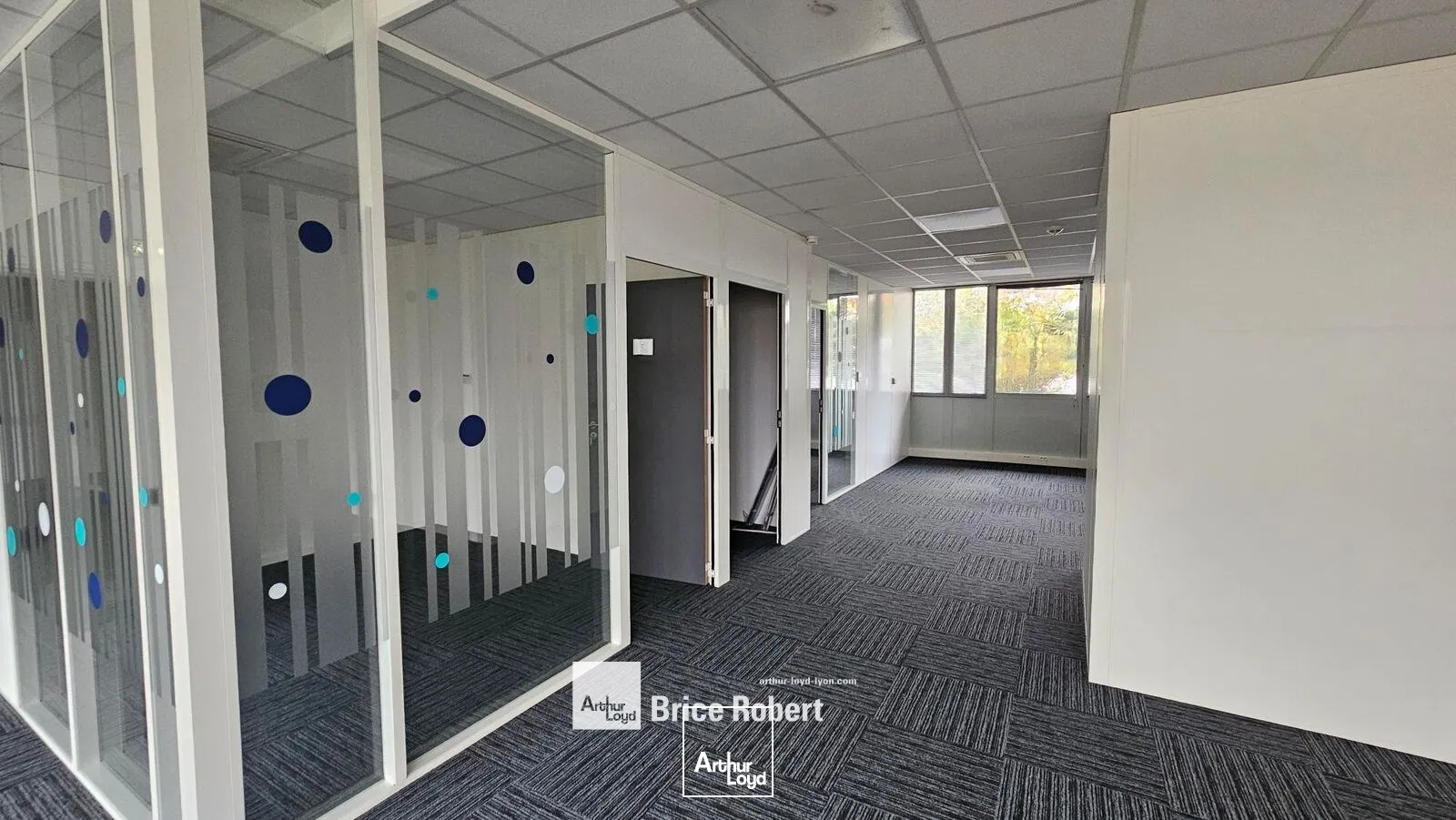 Bureaux - Location - VILLEURBANNE - 69100 - 993-993 - 7664140