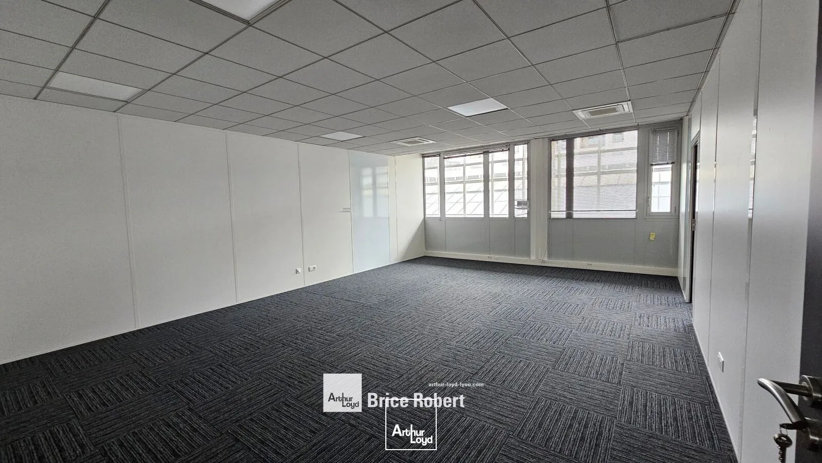 Bureaux - Location - VILLEURBANNE - 69100 - 993-993 - 7664132