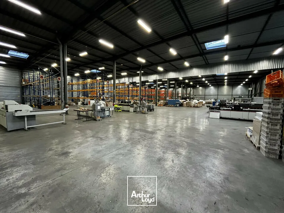 Locaux d'activité & Entrepôts - Location - ILLKIRCH-GRAFFENSTADEN - 67400 - 2655-2655 - 7664238