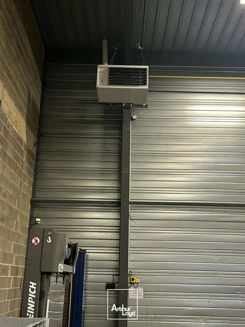 Locaux d'activité & Entrepôts - Location - ILLKIRCH-GRAFFENSTADEN - 67400 - 2655-2655 - 7664242