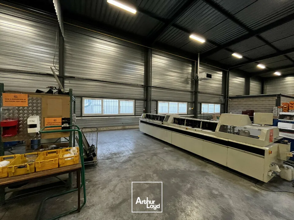 Locaux d'activité & Entrepôts - Location - ILLKIRCH-GRAFFENSTADEN - 67400 - 2655-2655 - 7664244