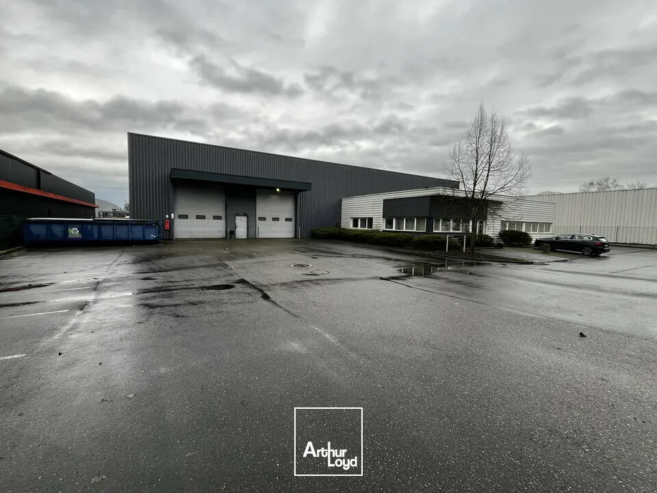 Locaux d'activité & Entrepôts - Location - ILLKIRCH-GRAFFENSTADEN - 67400 - 2655-2655 - 7664247