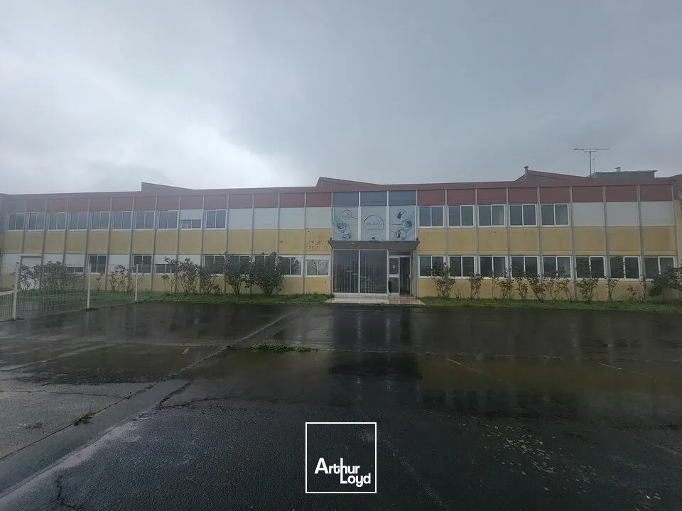 Bureaux - Location - CHATELLERAULT - 86100 - 250-250 - 7664305