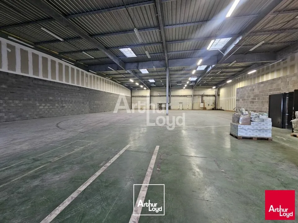 Locaux d'activité & Entrepôts - Location - SAINT-BARTHÉLEMY-D'ANJOU - 49124 - 1285-1285 - 7664344