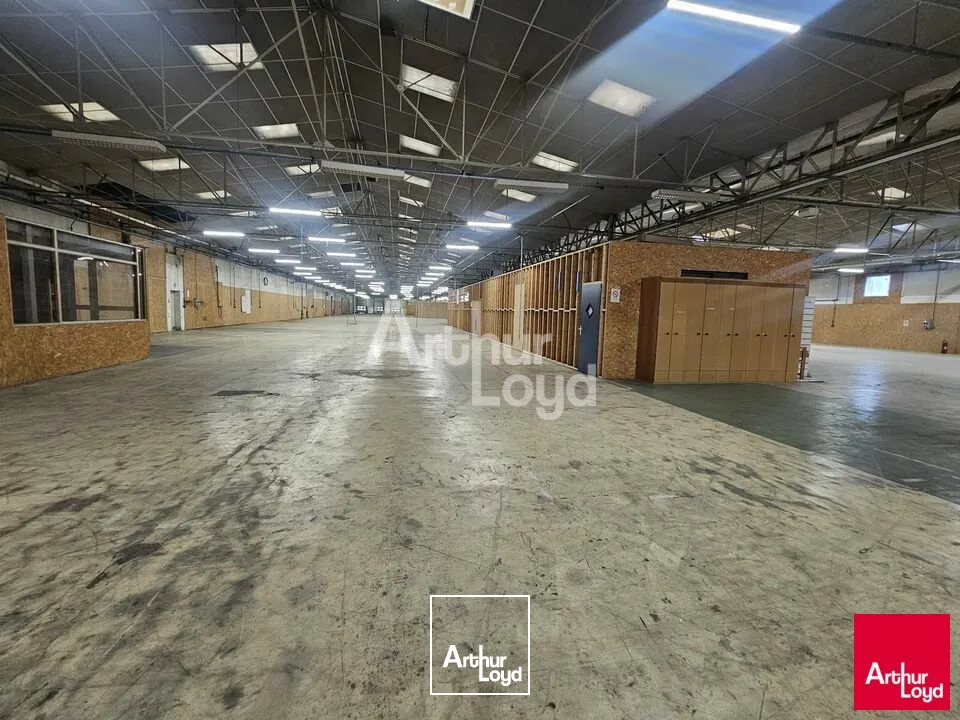 Locaux d'activité & Entrepôts - Location - SAINT-BARTHÉLEMY-D'ANJOU - 49124 - 6100-6100 - 7664342