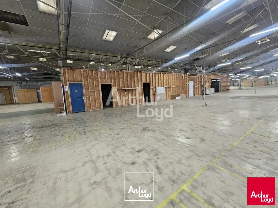 Locaux d'activité & Entrepôts - Location - SAINT-BARTHÉLEMY-D'ANJOU - 49124 - 6100-6100 - 7664343