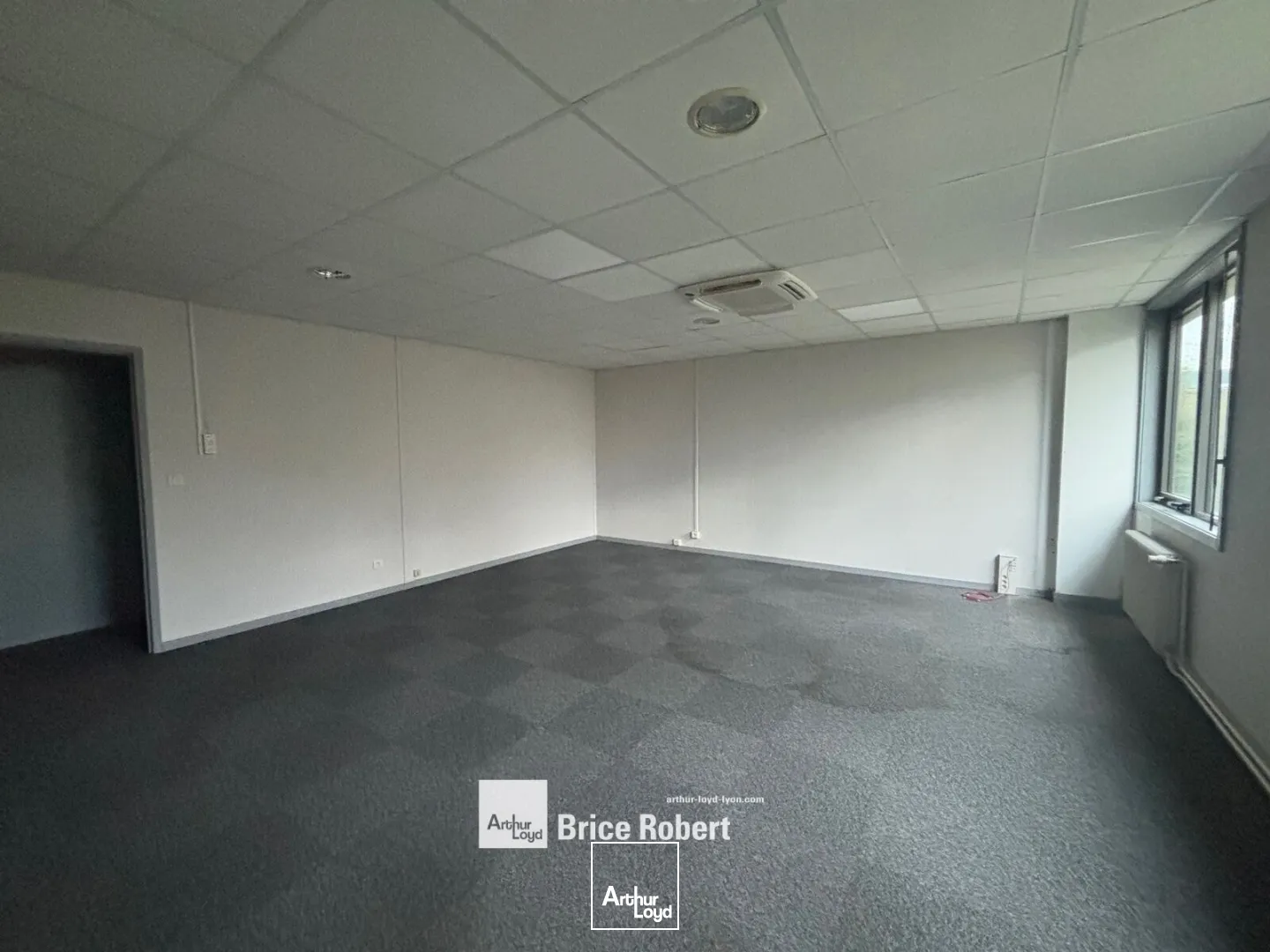 Locaux d'activité & Entrepôts - Location - DARDILLY - 69570 - 206-1972 - 7664766