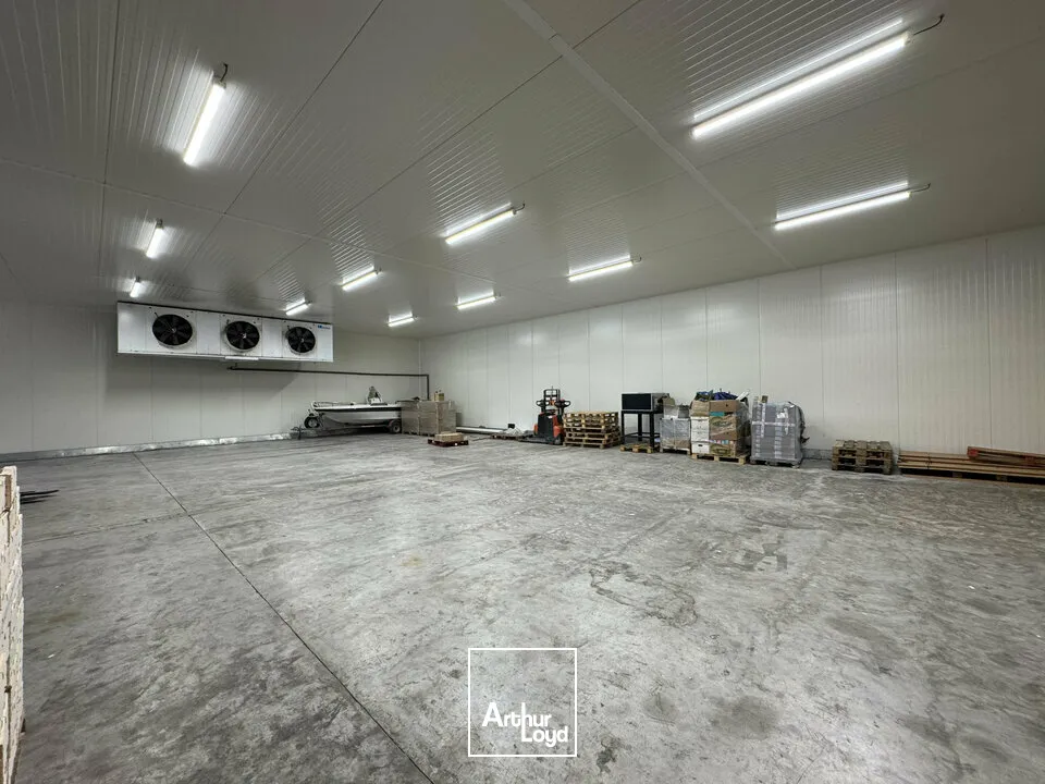 Locaux d'activité & Entrepôts - Vente - NOVES - 13550 - 1600-1600 - 7664949