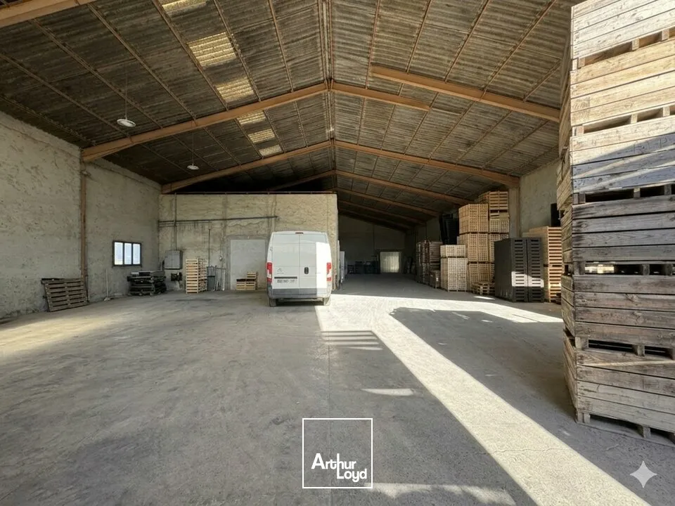 Locaux d'activité & Entrepôts - Vente - NOVES - 13550 - 1600-1600 - 7664951