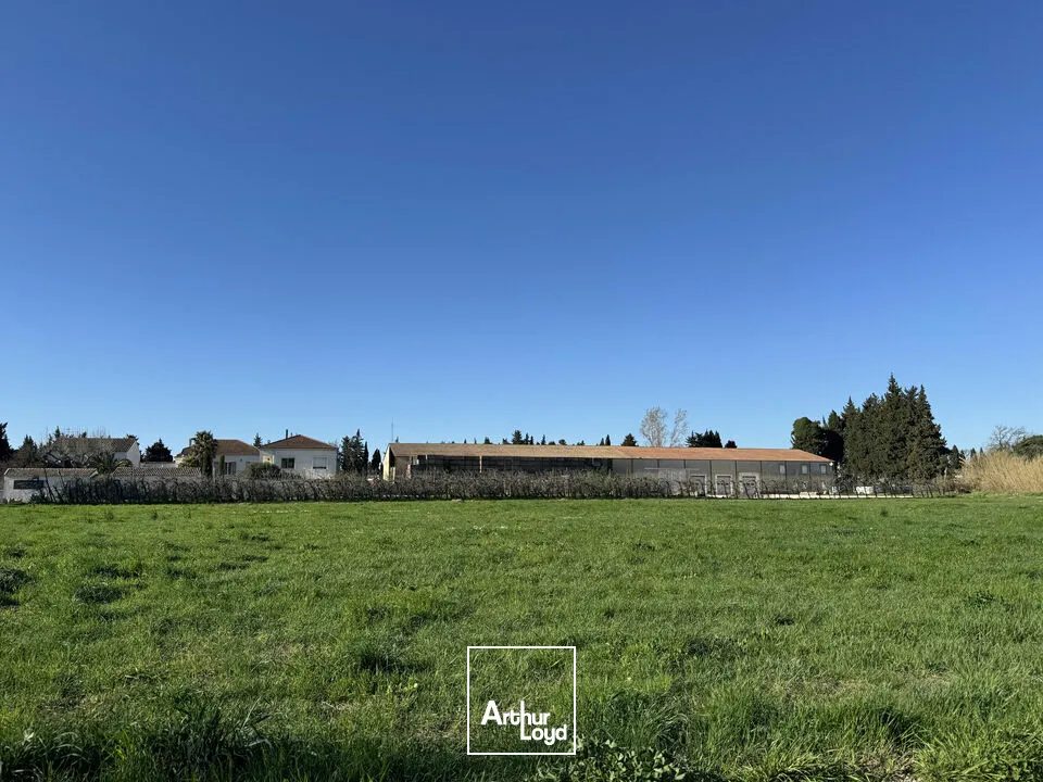 Locaux d'activité & Entrepôts - Vente - NOVES - 13550 - 1600-1600 - 7664952