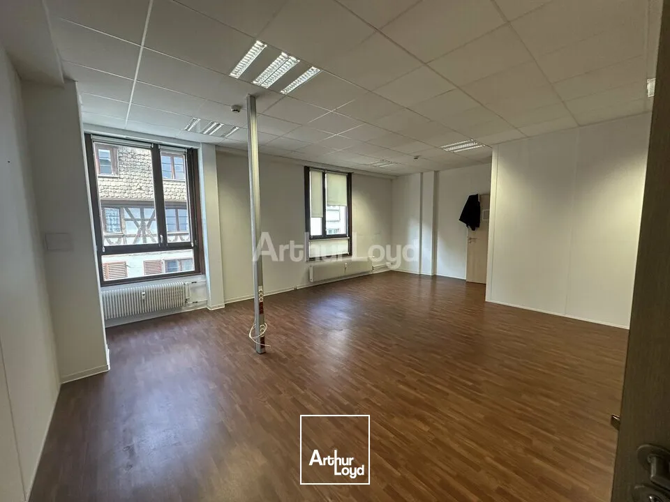 Bureaux - Vente - STRASBOURG - 67000 - 838-838 - 7665004