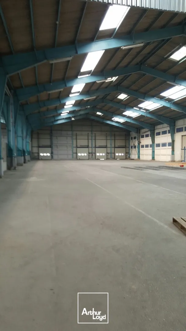 Locaux d'activité & Entrepôts - Location - HENDAYE - 64700 - 2000-2000 - 7665060