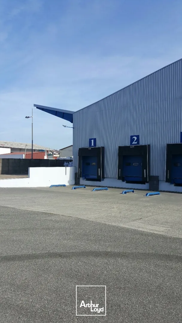 Locaux d'activité & Entrepôts - Location - HENDAYE - 64700 - 2000-2000 - 7665061