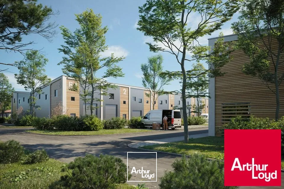 Locaux d'activité & Entrepôts - Vente - SAINT-VINCENT-DE-TYROSSE - 40230 - 141.05-141.05 - 7665082