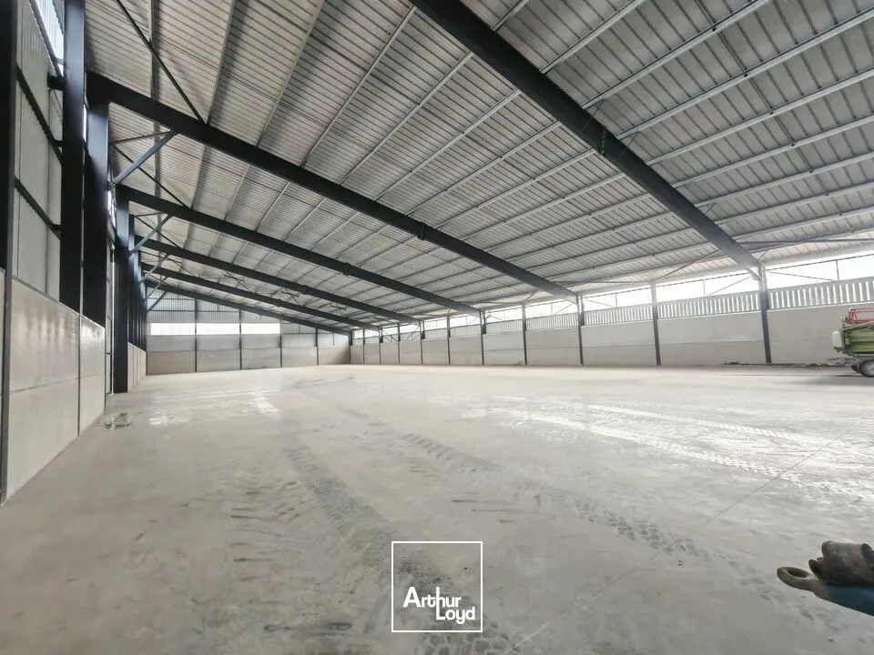 Locaux d'activité & Entrepôts - Location - ÉPENSE - 51330 - 2100-4500 - 7665158