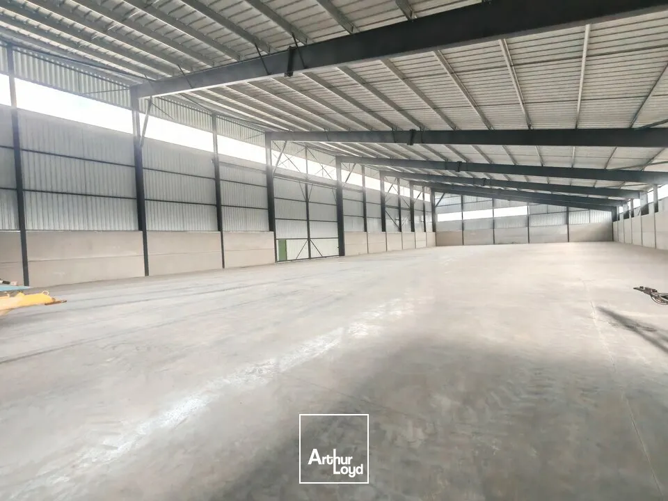 Locaux d'activité & Entrepôts - Location - ÉPENSE - 51330 - 2100-4500 - 7665154