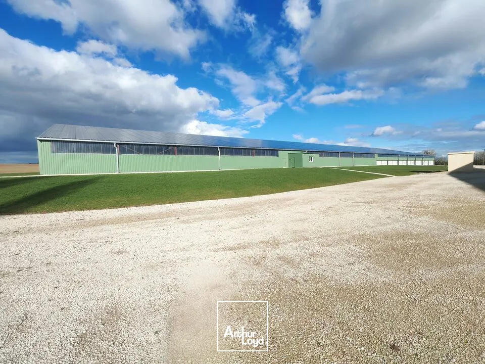 Locaux d'activité & Entrepôts - Location - ÉPENSE - 51330 - 2100-4500 - 7665155