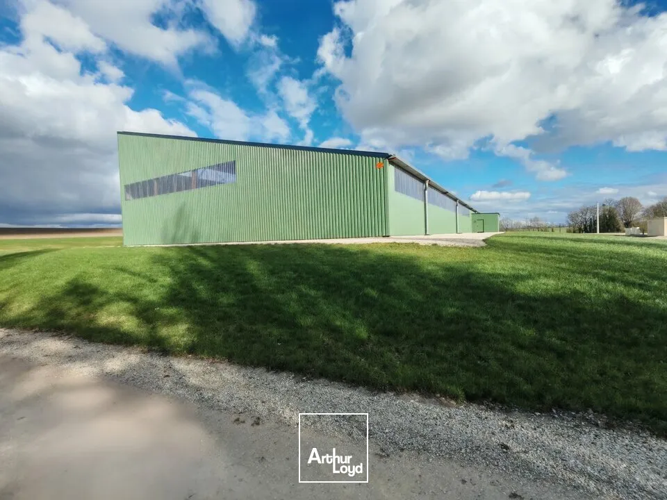 Locaux d'activité & Entrepôts - Location - ÉPENSE - 51330 - 2100-4500 - 7665156